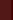 brun-blanc
