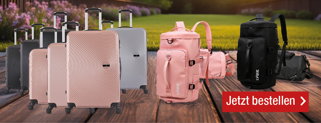 ve widehero valise de