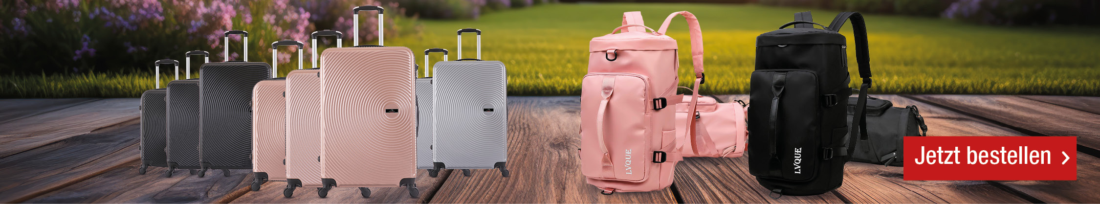 ve widehero valise de