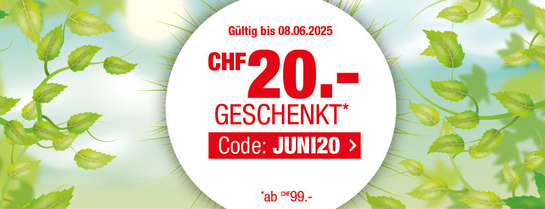 ve widehero juni de