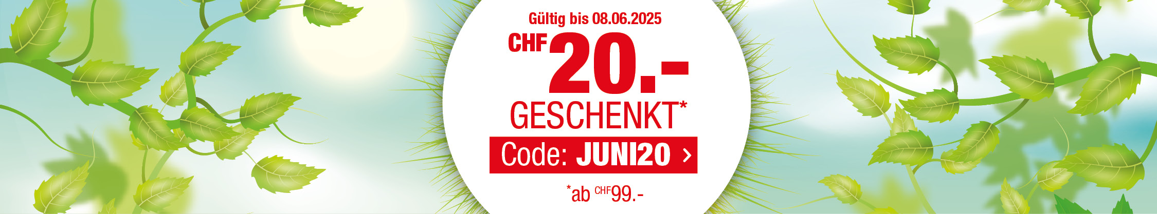 ve widehero juni de