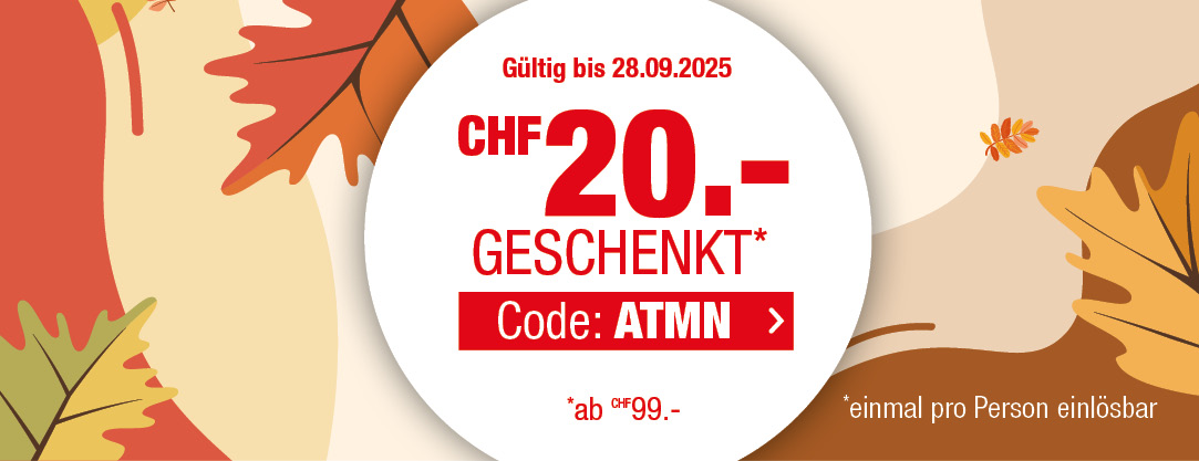 ve widehero automne de