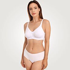 Sassa Minimizer-BH