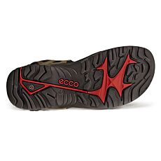 Sandale Ecco en cuir nubuck avec fermeture velcro olive