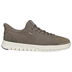 Sneakers GEOX homme – taupe