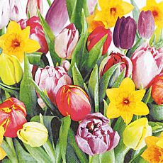 Servietten «Bouquet of Tulips», 20 Stück, 33 x 33 cm, 3-lagig