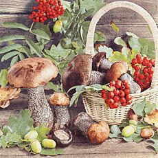 Servietten «Fall Season», 20 Stück, 33 x 33 cm, 3-lagig