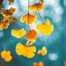 Servietten «Ginkgo», 20 Stück, 33 x 33 cm