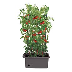 Pot à plantes, équipé d'un réservoir d'eau et de treillis anthracite