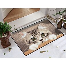 Türmatte mit Katzen-Baby, 50x75 cm