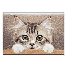 Türvorlage mit Katzen-Baby, 50x75 cm