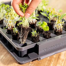 Wurzel-Trainer-System, für 40 Pflanzen