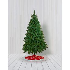 Dichter Tannenbaum, 210 cm