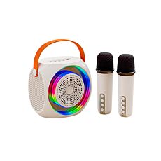 Bluetooth-Lautsprecher mit Mikrofonen, 2-in-1