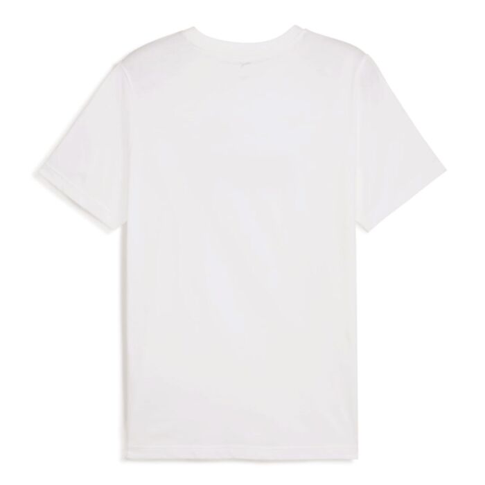 Puma Herren T-Shirt, Regular Fit