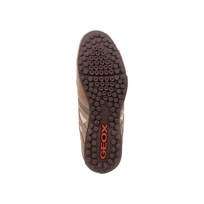 Geox baskets Uomo Snake