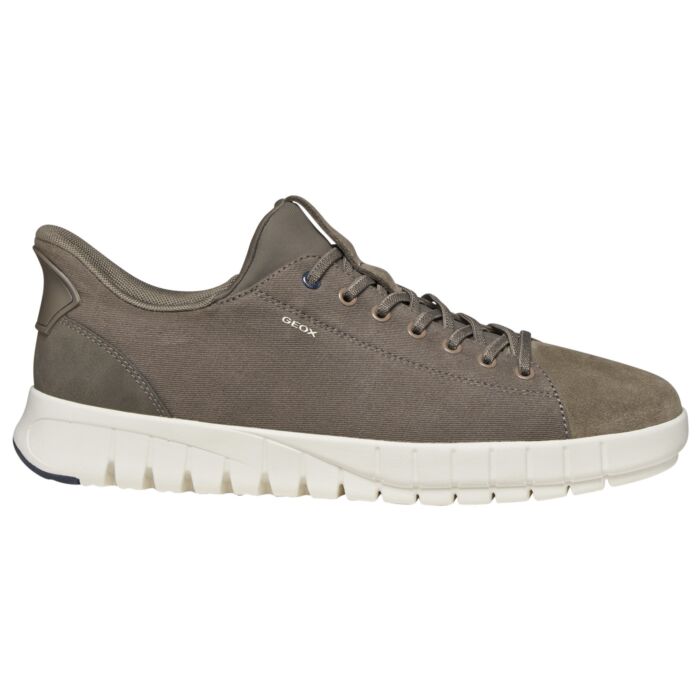Sneakers GEOX homme