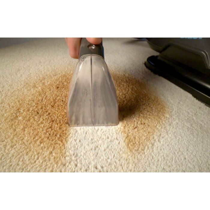 Livington Aspirateur/laveur «Spot Blast», 650 W