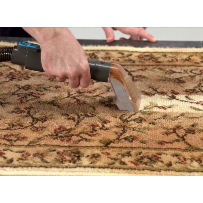 Livington Aspirateur/laveur «Spot Blast», 650 W