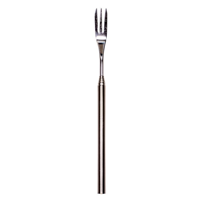 Lot de 2 fourchettes à fondue télescopiques