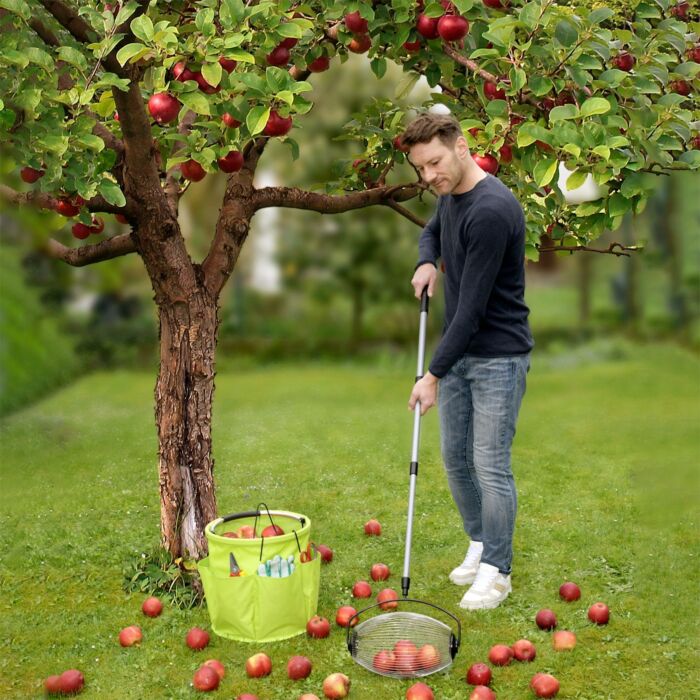 Collecteur roulant avec manche télescopique, pour les fruits tombés et les noix