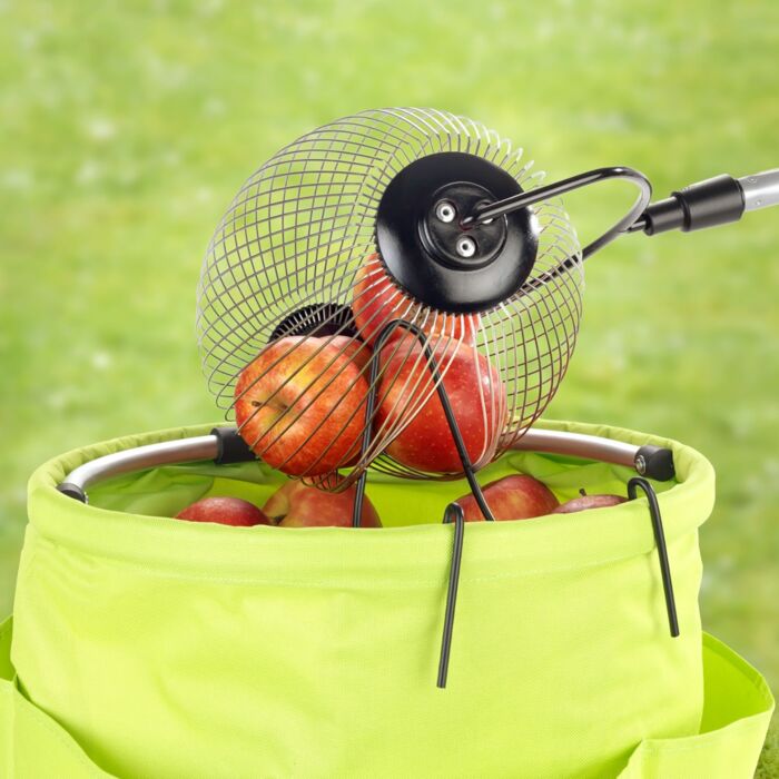 Collecteur roulant avec manche télescopique, pour les fruits tombés et les noix