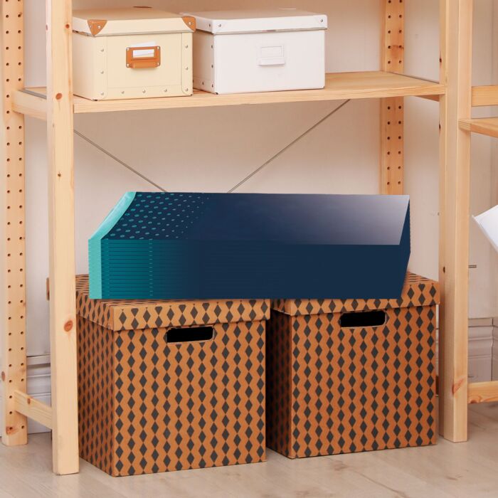 Piscine pliable, sans gonflage, portable et robuste