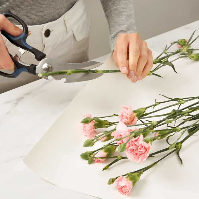 Ciseaux universels AnySharp 5-in-1 Allround avec casse-noix, décapsuleur, etc...