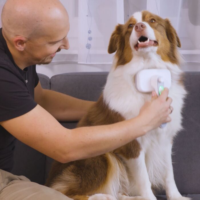 PiddiPet Tierhaarbürste «IonBrush», mit Ionen-Technologie und Selbstreinigung, für Hunde und Katzen