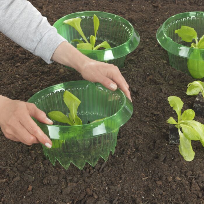 Dôme de plantation « 3 en 1 », mini-serre, collier anti-limaces et aide à l'arrosage, lot de 3