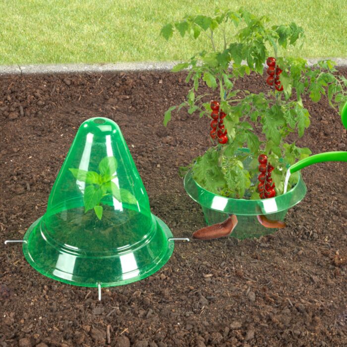 Dôme de plantation « 3 en 1 », mini-serre, collier anti-limaces et aide à l'arrosage, lot de 3