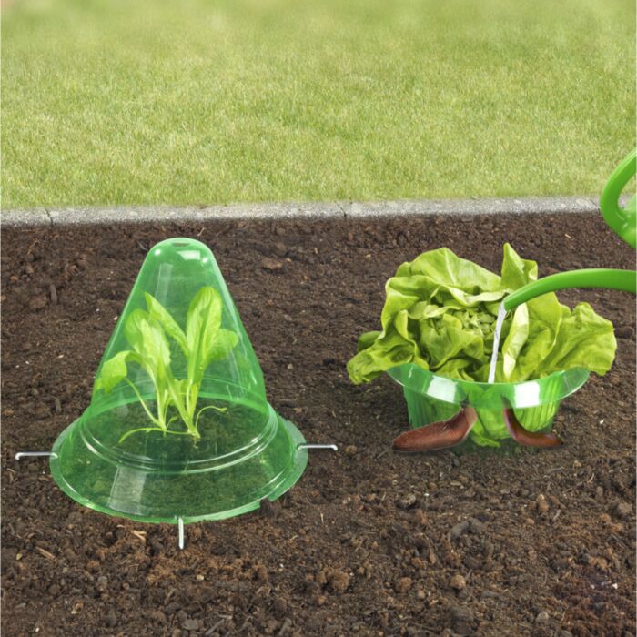 Dôme de plantation « 3 en 1 », mini-serre, collier anti-limaces et aide à l'arrosage, lot de 3