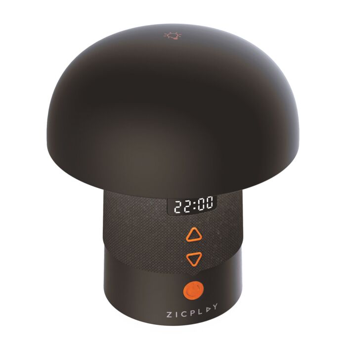 Enceinte ZicPlay