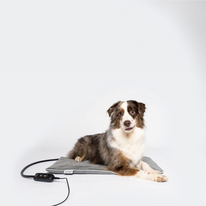 Tapis chauffant Beurer pour animaux de compagnie «PP 220 Sammy», 2 niveaux de température, 65×50 cm