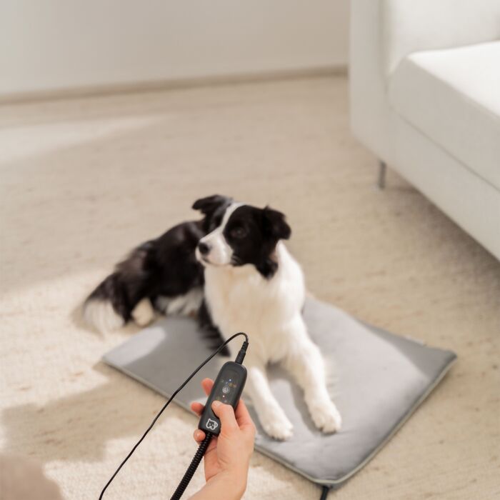 Tapis chauffant Beurer pour animaux de compagnie «PP 220 Sammy», 2 niveaux de température, 65×50 cm