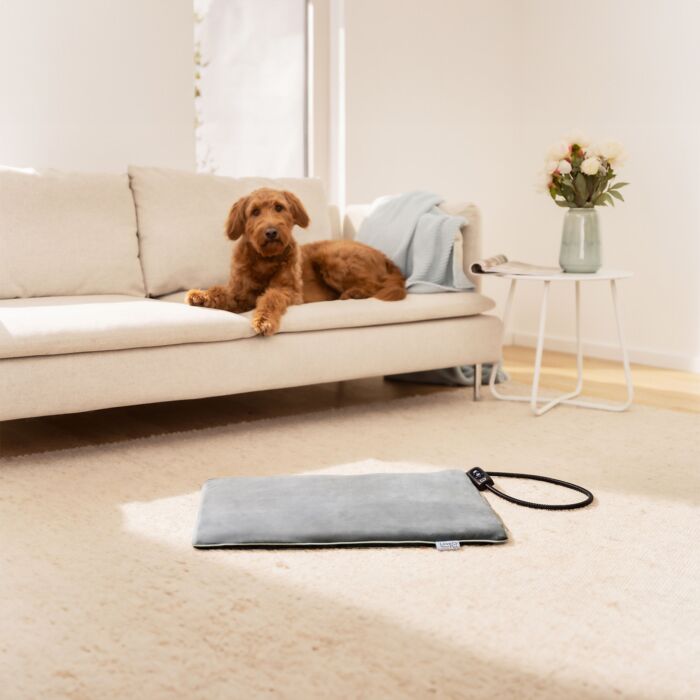 Tapis chauffant Beurer pour animaux de compagnie «PP 220 Sammy», 2 niveaux de température, 65×50 cm
