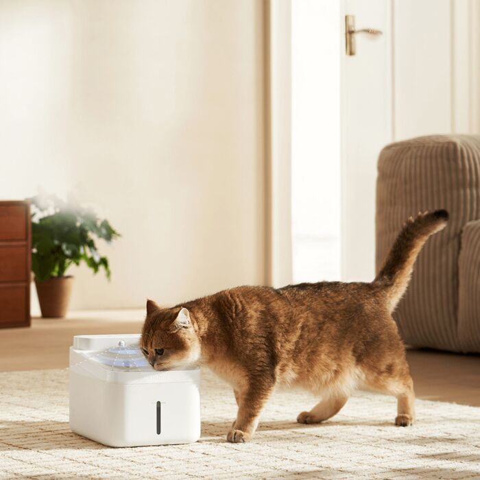 Xiaomi Ersatzfilter «Smart Pet Fountain 2», mehrstufige Wasserfiltration, 3-fach-Filtersystem