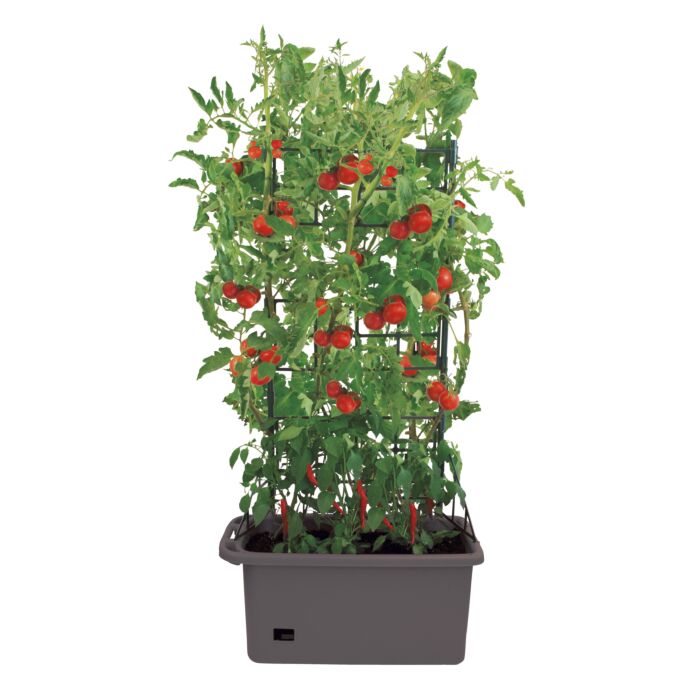 Pot à plantes, équipé d'un réservoir d'eau et de treillis , anthracite
