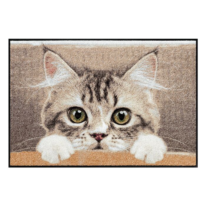 Türvorlage mit Katzen-Baby, 50x75 cm