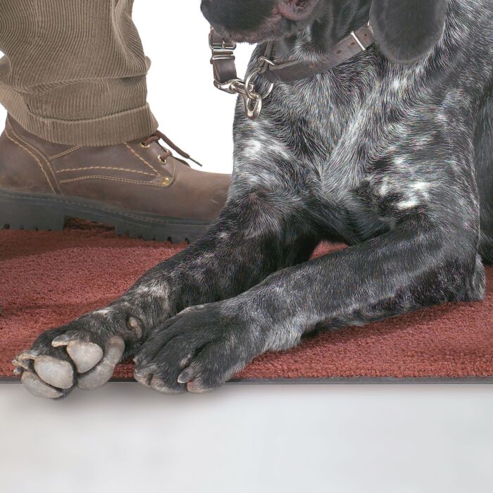 Tapis pour intérieur et extérieur, lavables