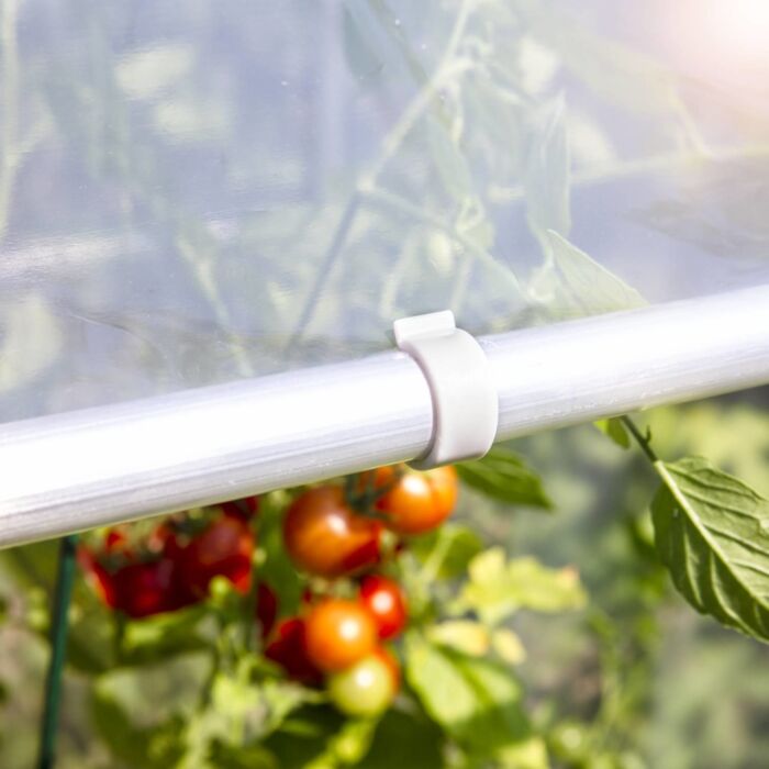 Tomatenhaus «Alustar», mit UV-beständige Folie