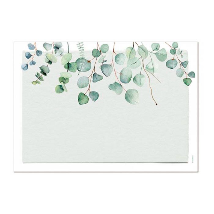 Set de table en papier «Eucalyptus», 48 feuilles, avec des motifs naturels