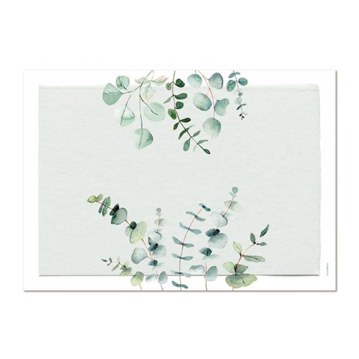 Set de table en papier «Eucalyptus», 48 feuilles, avec des motifs naturels