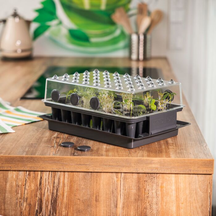 Système d'entraînement des racines, pour 40 plantes
