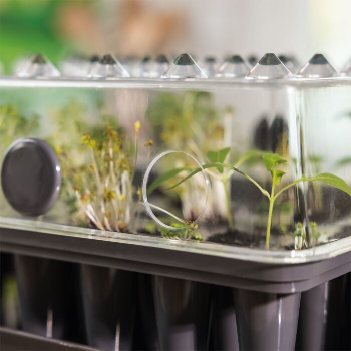 Système d'entraînement des racines, pour 40 plantes
