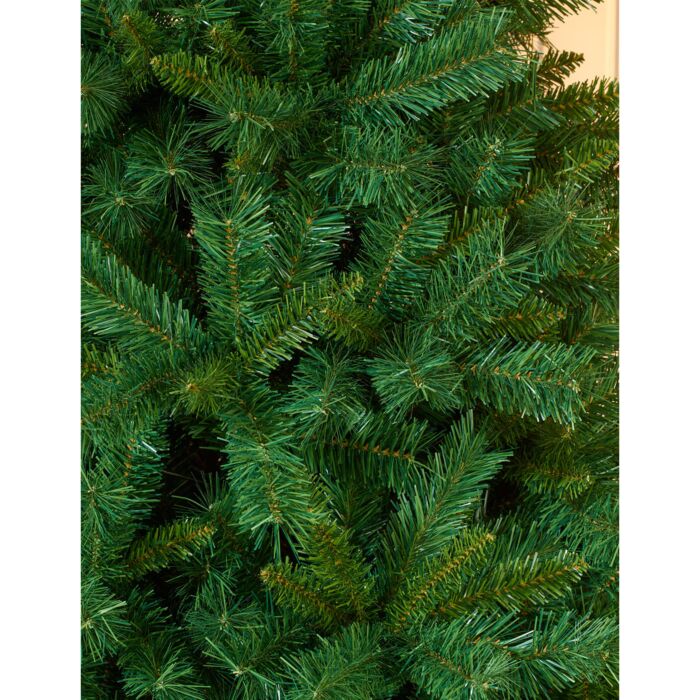 Dichter Tannenbaum, 210 cm