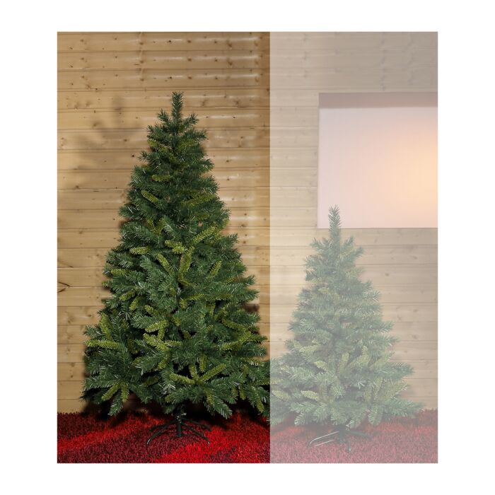Tannenbaum mit 650 Zweigen, Höhe 180 cm