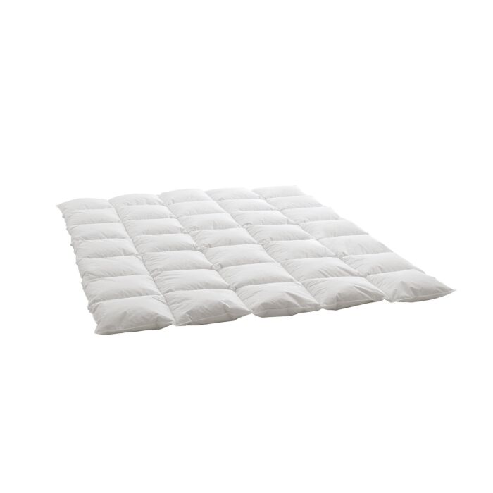Billerbeck Duvet d'oie Swiss Dream Cosy