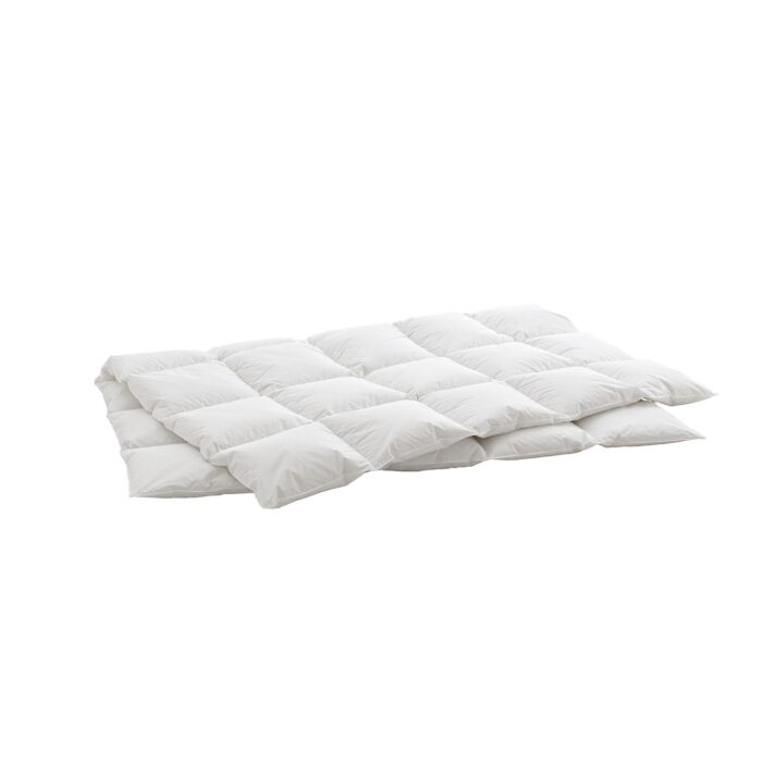 Billerbeck, Duvet d'oie Swiss Dream Caro, medium