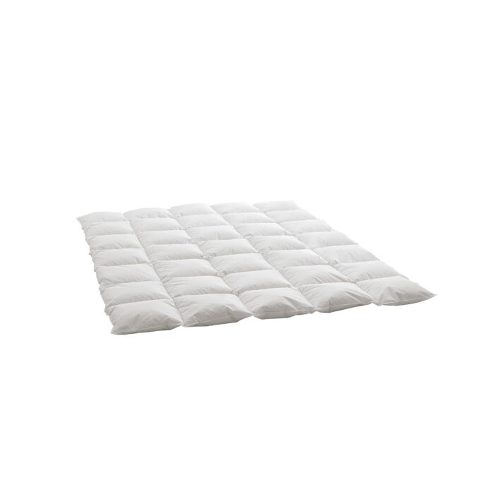 Billerbeck, Duvet d'oie Swiss Dream Caro, medium